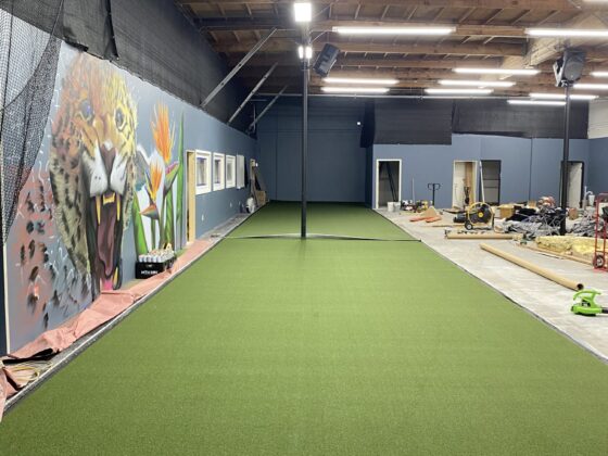 Turf training lane and mural inside a warehouse-to-gym conversion in Miramar