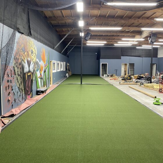 Turf training lane and mural inside a warehouse-to-gym conversion in Miramar