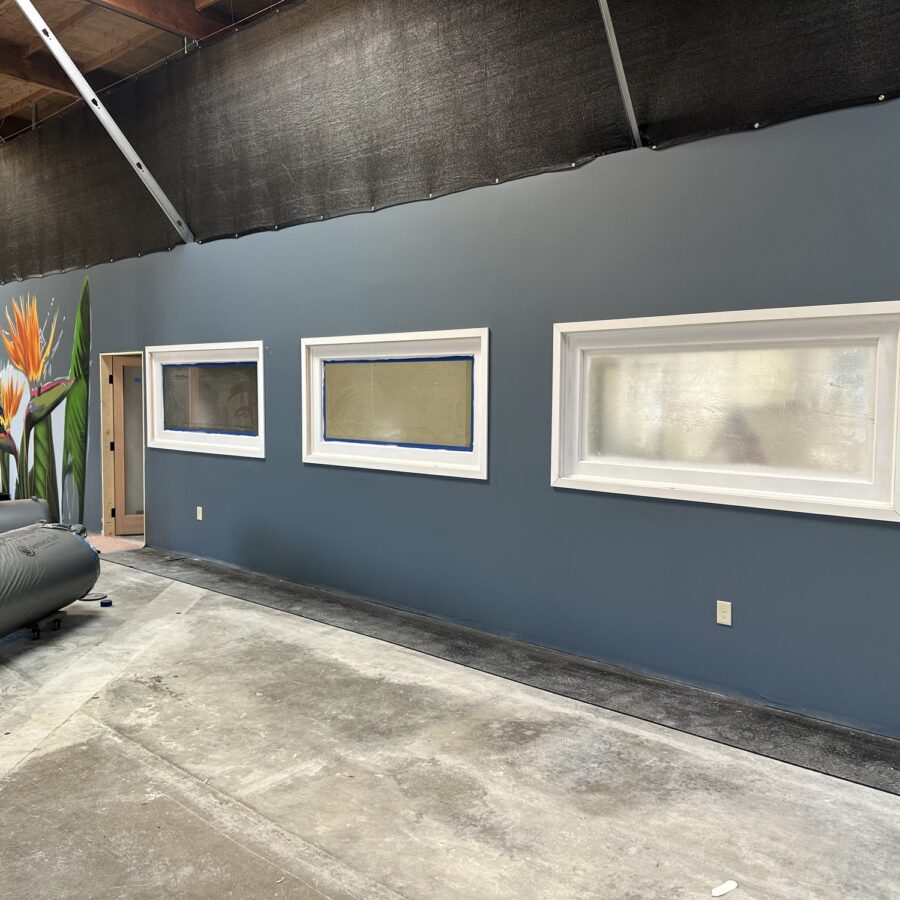 Blue accent wall with interior office windows in the Miramar gym tenant improvement
