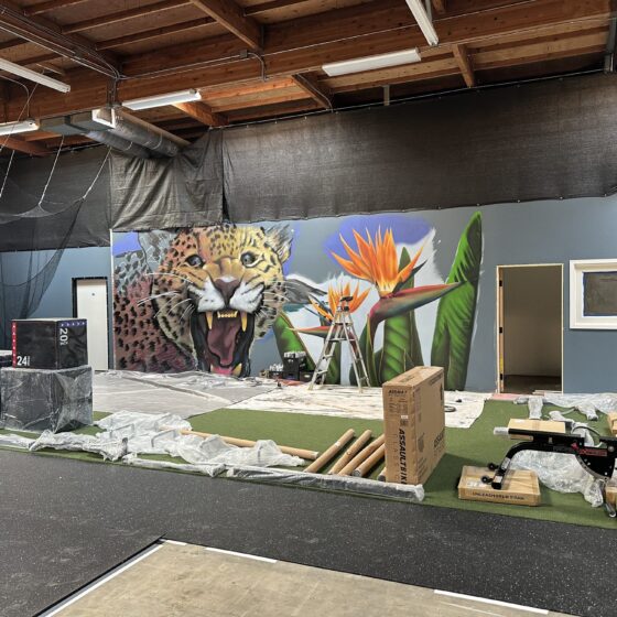Gym equipment being set up in front of a jungle-cat mural in the Miramar gym conversion