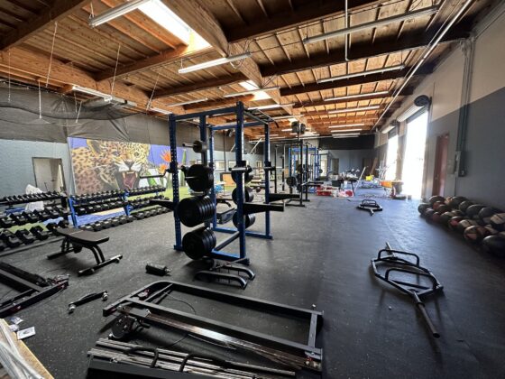 Finished gym in a converted Miramar warehouse with weight racks, rubber flooring and a jungle mural