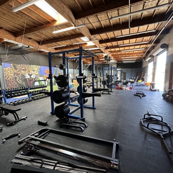 Finished gym in a converted Miramar warehouse with weight racks, rubber flooring and a jungle mural